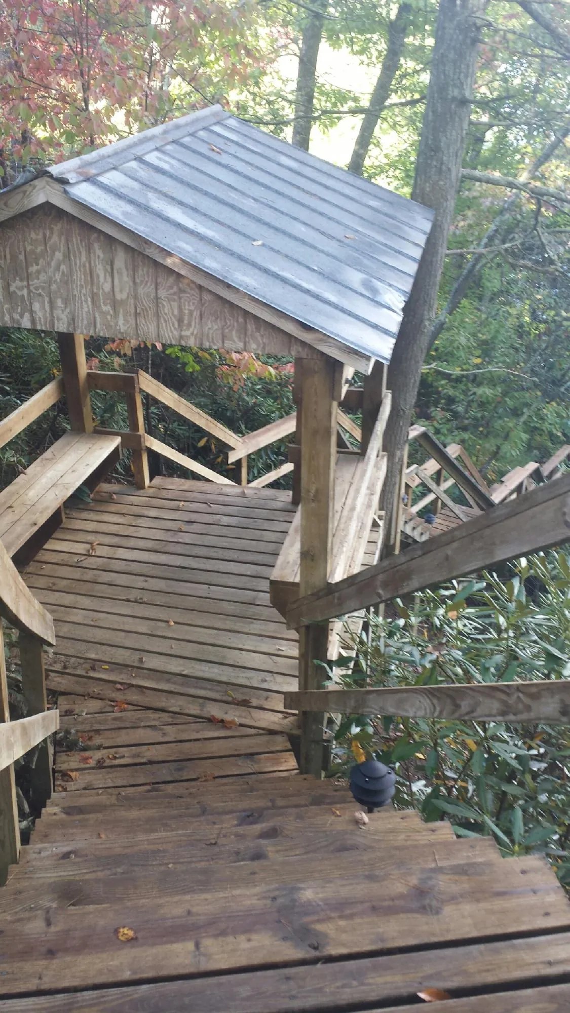 Metal roofed shelter over wooden steps on a wooded walkway in Black Mountain